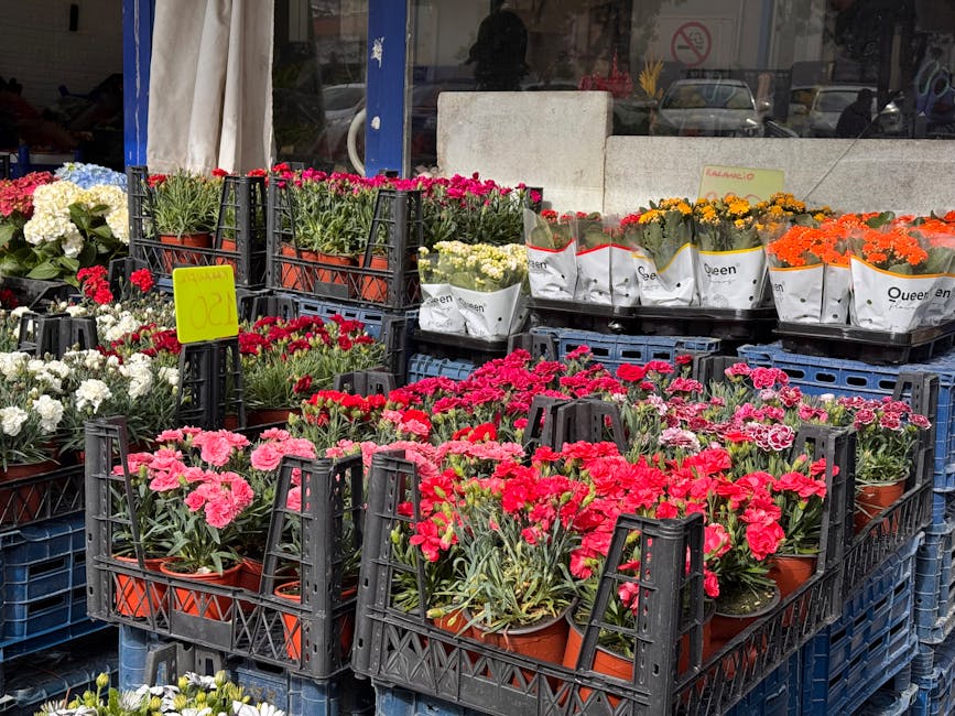 Outside flower shop displaying an array of potted flowers arranged in black plastic crates. The flowers include pink, red, white, yellow, and orange blooms, with some wrapped in white paper. Bright ye