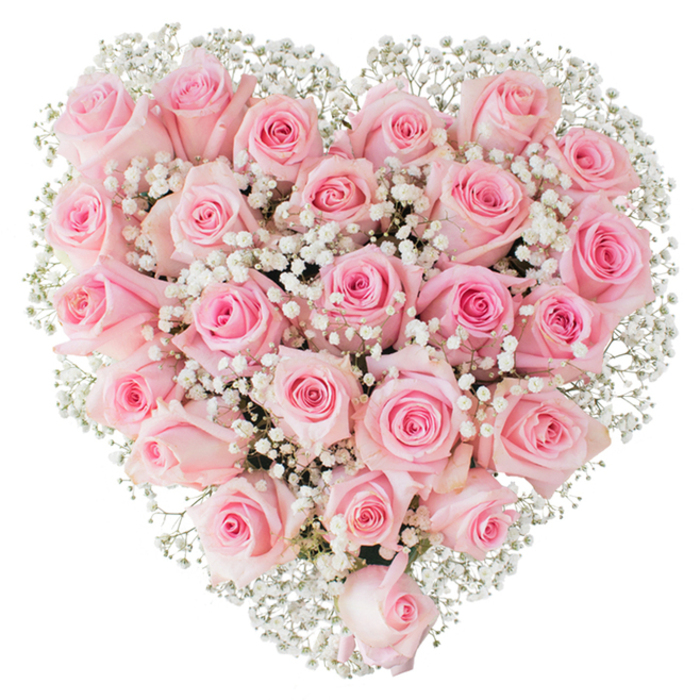 A sumptuous, perfectly formed heart of soft pink roses, dotted throughout with delicate white gypsophila, presented against a pristine white backdrop that lets every petal and tiny bloom take centre stage. The roses themselves show a gentle spectrum of pastel - a whisper of cream-pink at the outer rims that deepens subtly toward the heart of each flower - and their stages of bloom vary pleasingly: some are compact and tightly layered, others have begun to open into elegant, spiralling cups. A florist's hand is evident in the tight, even packing that gives the heart a velvet-like surface; between and around those round rose heads the baby's breath provides a light, airy texture, like fine embroidery, softening edges and lending an ethereal glow. Lighting is bright and neutral, stripping away distractions and allowing the natural sheen and feathery shadows of the petals to create depth. Picture this arrangement resting on a mantel in a Willesden home after a quiet walk from the shops on High Road, or arriving as a thoughtful anniversary piece to a table at a small local hall - it reads as a symbol of deep affection and gentle devotion. The scent would be a classic rose note, warm and familiar, undercut by the green, almost powdery scent of Gypsophila; together they offer comfort and celebration in equal measure. This is floral workmanship intended for meaningful moments - engagements, weddings, Valentine's remembrances, or tender condolences - crafted with respect for both beauty and sentiment in our North West London neighbourhoods.