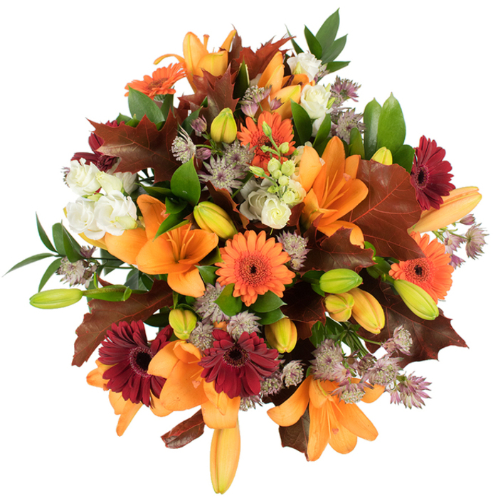 Captured from slightly above against a pristine white backdrop, this autumnal bouquet is a study in seasonal warmth and texture, balanced with the precision of experienced hands. Prominent in the composition are several fully opened orange Asiatic lilies, their trumpet-shaped blooms commanding attention with smooth, sculptural petals. Interspersed are bright orange Gerbera daisies and deeper burgundy gerberas, their radiating petals forming cheerful, rustic medallions that contrast beautifully with the lilies' formality. Creamy white lisianthus provide soft punctuation, their ruffled, multi-layered petals offering gentle highlights amid the saturated tones. Delicate, star-shaped Astrantia in muted purple and lavender act as intricate filler, creating an airy, lace-like quality that lifts the bouquet's silhouette. Broad, lobed leaves in rich reddish-brown and deep chestnut are artfully placed to evoke fallen oak foliage, reinforcing the autumnal theme with a tactile, earthy note; intermingled fresh green leaves and stems keep the arrangement lively and natural. The design is tightly packed and luxuriantly full, with many tightly furled lily buds in pale green and soft orange hinting at continued bloom - a small unfolding performance over several days. Shot in bright, even lighting that makes every vein and petal edge distinct, the bouquet's colours read warm and saturated, and the overall scent suggests soft floral sweetness with an undercurrent of late-season earth. As a Willesden florist, Flowers Willesden would choose this composition for harvest celebrations, Thanksgiving-style centrepieces, or as a thoughtful seasonal gift for friends and neighbours around Willesden Green and Chamberlayne Road.
