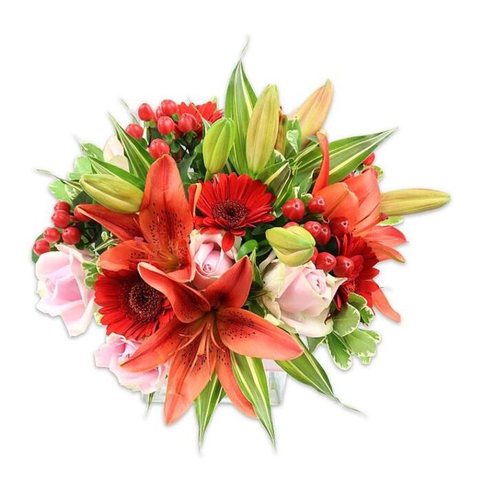 This lush, densely packed floral composition is presented against a pristine white backdrop to foreground its colour and form: large, open Asiatic lilies in a striking orange-red serve as the visual keystone, some blooms displaying speckled patterns and exposed stamens while several elongated buds anticipate unfolding. Complementing the lilies are numerous vivid red Gerbera daisies, identifiable by their many narrow petals and deep central disks that create textural contrast and visual punctuation throughout the arrangement. Interwoven are pale blush-pink roses, each showing layers of velvety petals from tight buds to more relaxed, open cups, introducing a softer tonal gradient between the vivid reds and the greens. Bright clusters of hypericum berries provide glossy, rounded accents, their polished surfaces catching light and offering a jewel-like counterpoint to the matte petals. The bouquet is richly filled with assorted foliage - slender lily blades, broad solid greens and variegated leaves streaked with lighter tones - which together sculpt a full, rounded silhouette and lift the composition away from its plain background. Under diffused studio lighting the textures read clearly: the satiny roses, the papery yet substantial lily petals, the shiny berries and the crisp leaf margins. The scent profile would be faintly sweet and slightly spicy from the lilies with a subtle rose undertone. This arrangement, frequently requested by clients for anniversaries or housewarmings around Gladstone Park, Harlesden and Neasden, communicates warmth and festive elegance while demonstrating considered florist technique and an understanding of local tastes in Willesden.