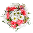 This radiant bouquet, meticulously arranged by a Willesden florist and inspired by the local vibrancy of NW10, captures the soft radiance of springtime renewal. At its heart stand jubilant white daisies-crisp petals and lively lime centers glowing with cheerful simplicity. Coral-pink carnations unfurl their plush, ruffled layers in joyful abundance, while delicate baby's breath dances among the blooms, creating a sense of movement and airy fullness reminiscent of the gentle breezes near Gladstone Park. Blush-tinted alstroemeria buds and slender leaves peek through, infusing the bouquet with subtle colour harmony and a hint of emerging promise. Cool eucalyptus and deep green foliage encircle the flowers, adding both fragrant freshness and visual grounding. The arrangement is intentionally circular and balanced, echoing the sense of community and embrace so often felt in Willesden. It evokes joy, optimism, and heartfelt connection-perfect for marking a special birthday, congratulating a loved one, or simply brightening a home near Willesden High Road. The bouquet's colours, forms, and textures celebrate the art of local floristry, inviting all who see or receive it to experience a moment of serenity, delight, and the warmth of expertly crafted flowers.